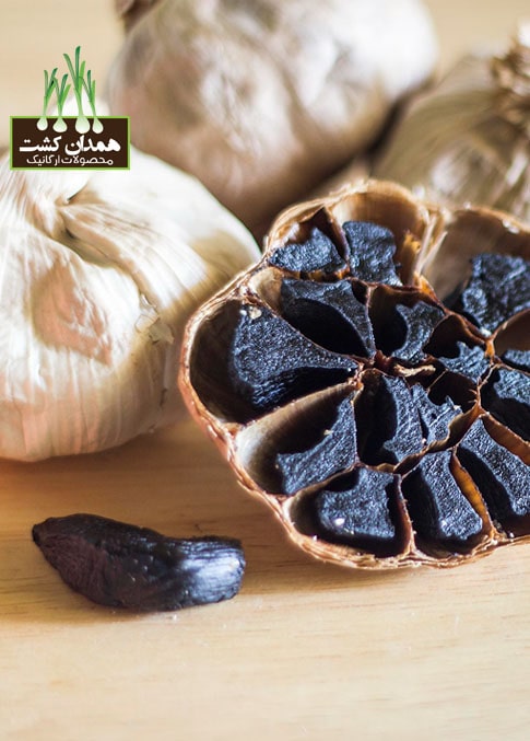 سیر سیاه همدان | طعم خاص و خواص بی‌نظیر
